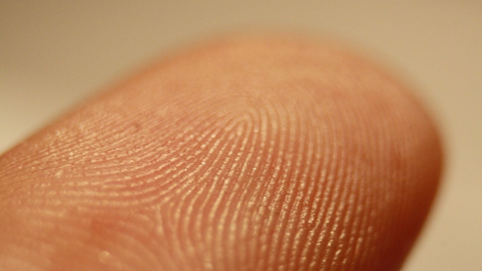 Extreme close-up of the pad of a human fingertip, showing the looping ridge pattern and pores of the friction ridge skin in sharp detail against a pale background.