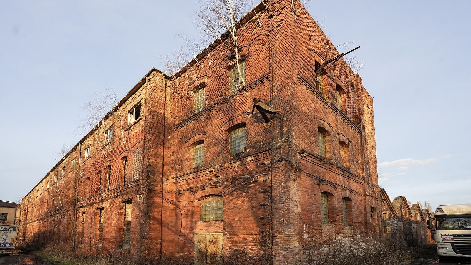 A large derelict red-brick industrial building of three or four storeys, with broken and boarded windows and small trees growing out of the brickwork, lit by low winter sun.