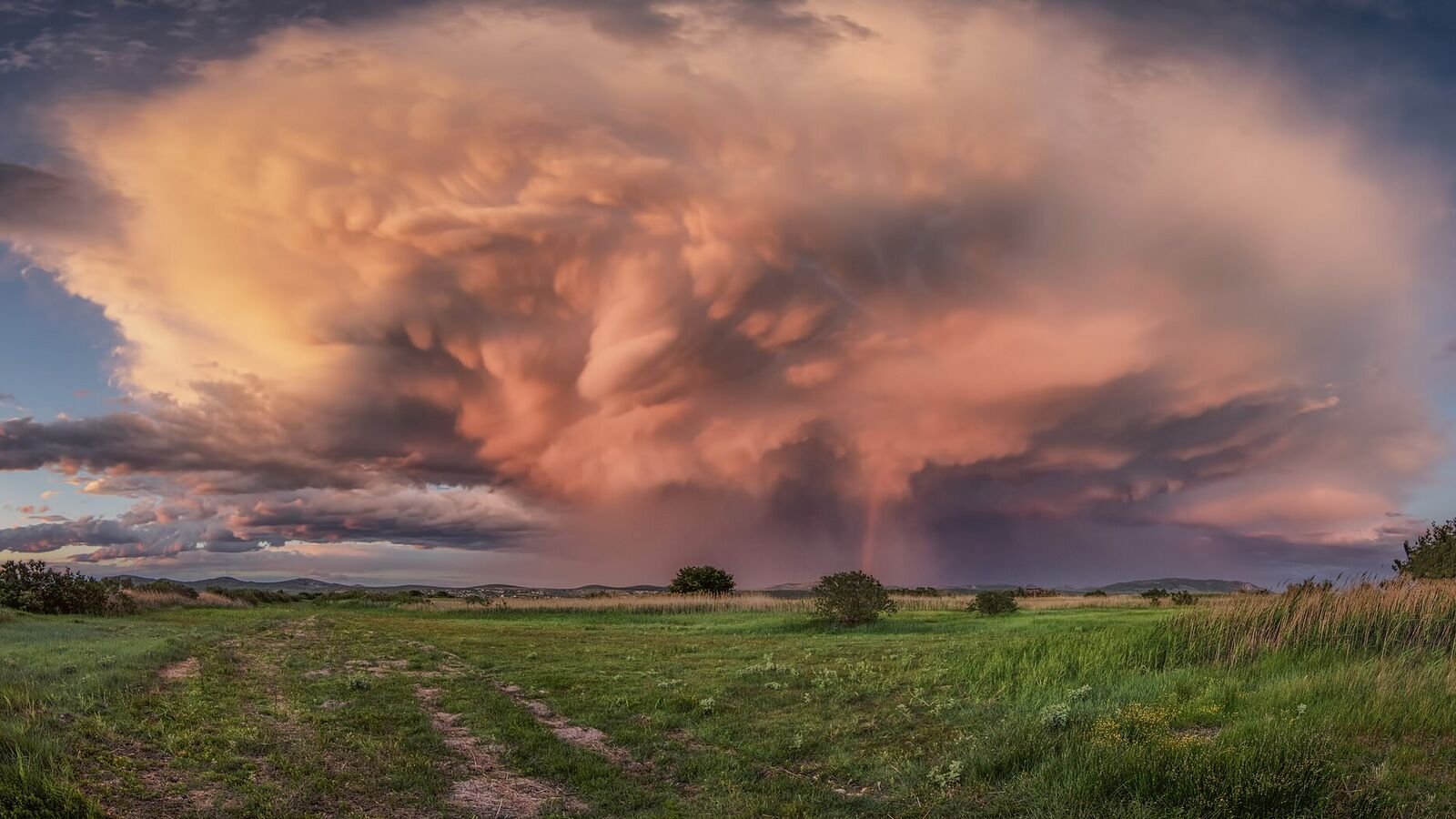 A vast supercell thunderstorm filling the sky above flat green grassland, its underside lit pink and orange by low sun, with a shaft of rain falling from the centre.